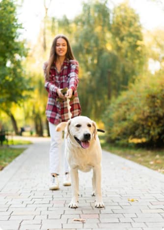 Happy dog running on the beach